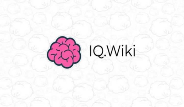 下载imToken安卓版后，如何设置数字资产的自动转账与充值功能。 IQ代币详解：BrainDAO管理的DeFi治理代币及其投资价值分析