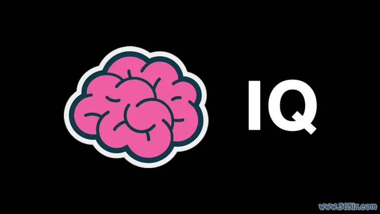 tokenim钱包官网的用户社群如何促进信息分享，让用户在投资中互相学习与支持？_钱包用户专享福利_钱包管理平台登录页面