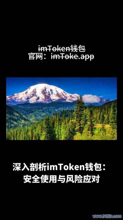 token钱包app官网 深入剖析imToken钱包为安卓用户带来的投资新机遇与安全保障