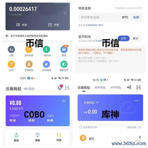 token钱包官方网站 数字货币众筹领域崛起，正版token钱包及项目参与要点解析